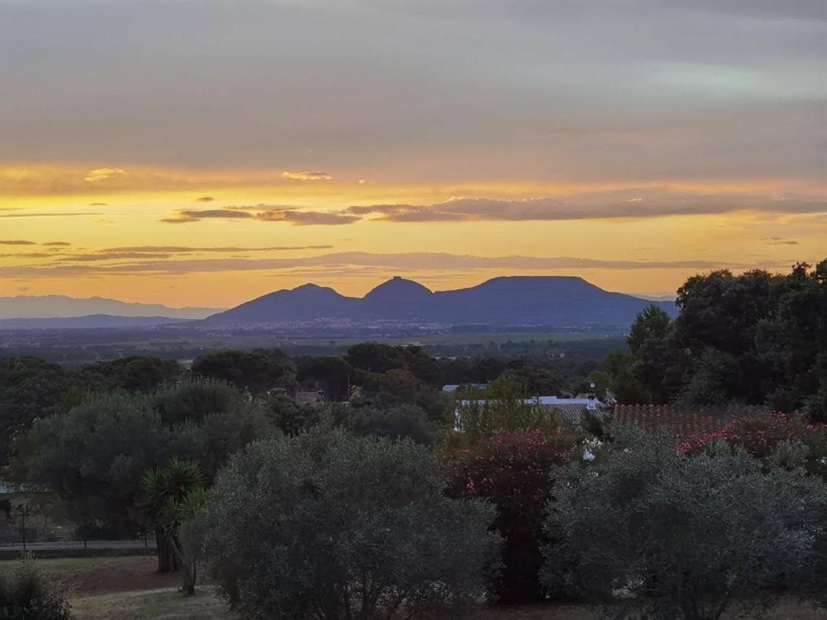 Can Costals Terraza Pals Kültér fotó